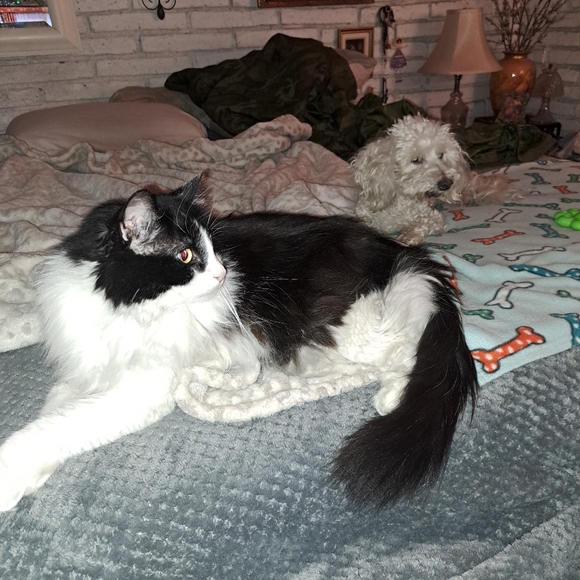 Meet your Posher, Nat - Picture 2 of 4